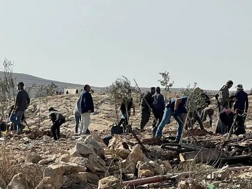 مستعمرون يهاجمون المنطقة الجنوبية من المغير والاحتلال يطلق الغاز السام